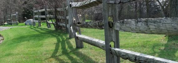 Wooden Fence